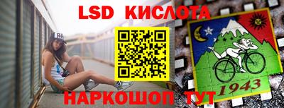 шишки Будённовск